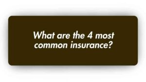 What are the 4 Most Common Insurance