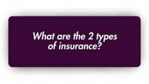 What are the 2 Types of Insurance